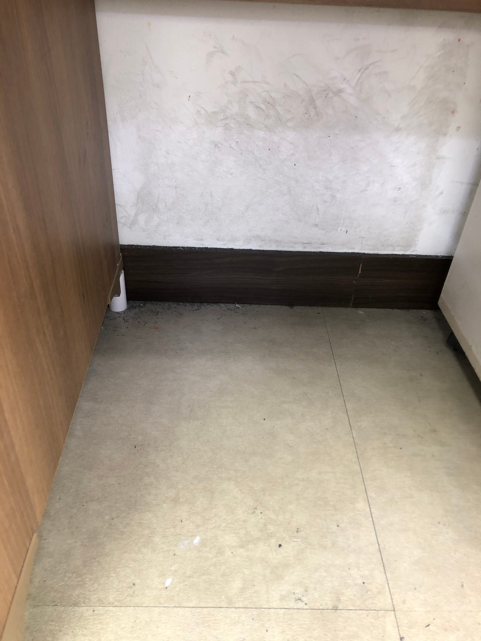 칠곡 약목면 카펫청소 시공 사진